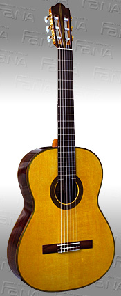 �M�^�[�@�P�l�X�E�q��