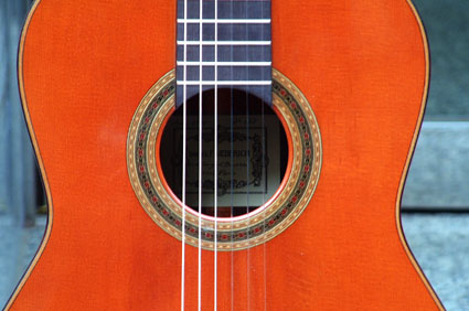 �M�^�[�@�t���[�h���b�V��