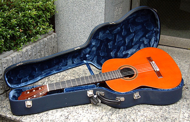 �M�^�[�@�t���[�h���b�V��