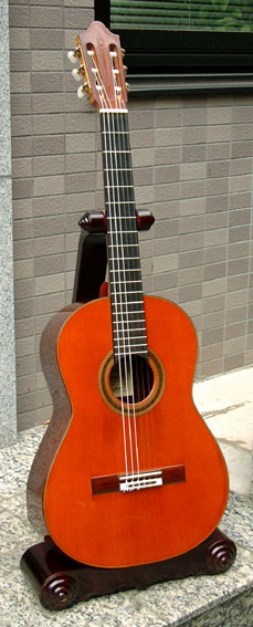 �M�^�[�@�t���[�h���b�V��