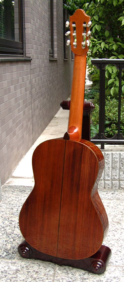 �M�^�[�@�t���[�h���b�V��