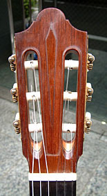 �M�^�[�@�t���[�h���b�V��