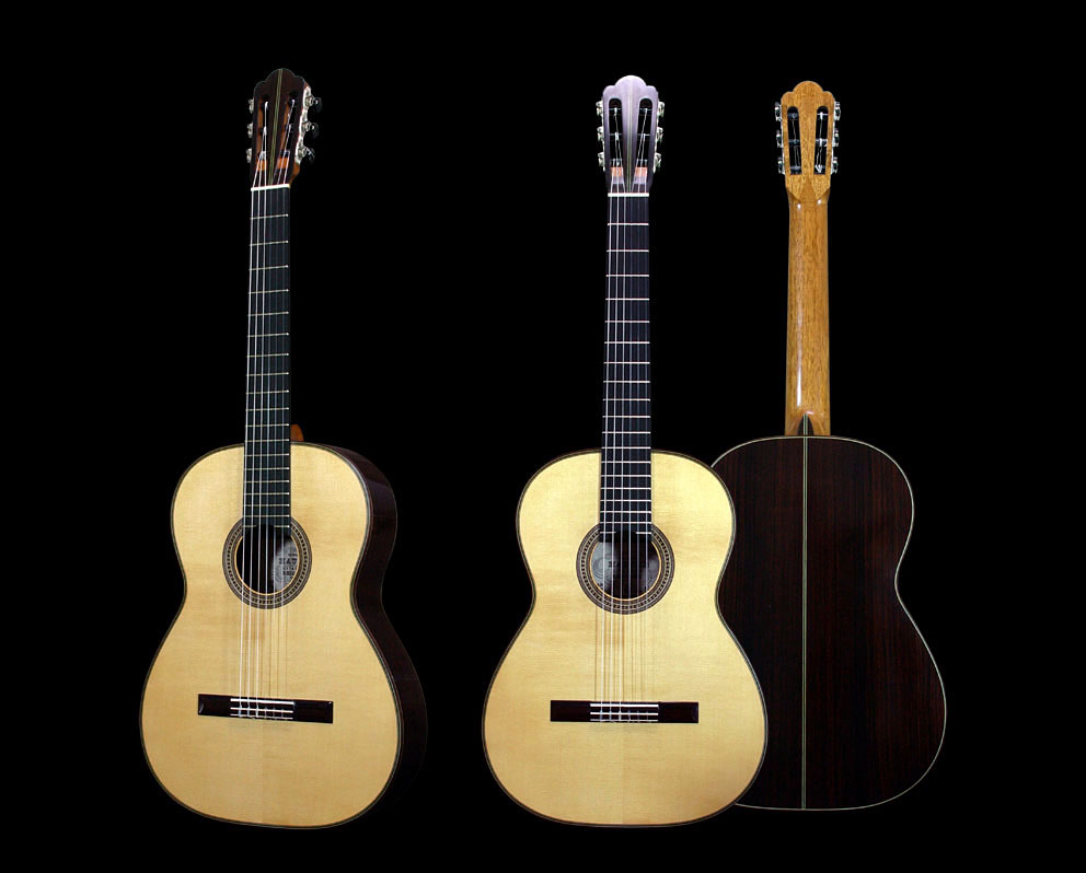 �h�C�c�̃M�^�[