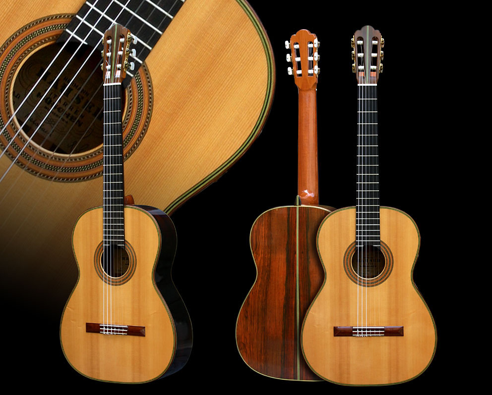 �h�C�c�̃M�^�[