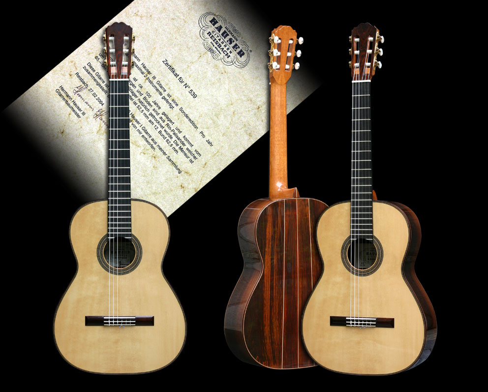 �h�C�c�̃M�^�[